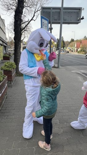 Fiú nyuszi mesebeli figura - szolgáltatás