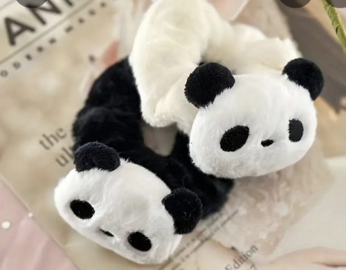 Pandamacis hajgumi