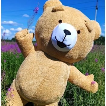   Óriás barna színű plüssmaci - Party BARNA maci szolgáltatás(250cm) 20 perc, Budapesti helyszíneken