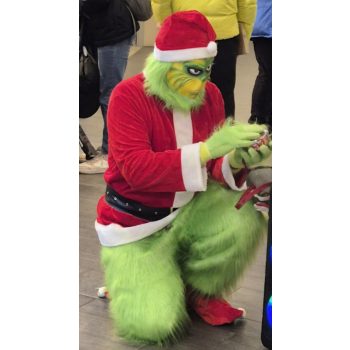   Grincs jellegű jelmezes megjelenés 10 percig, csak Pest Vármegyén belül!