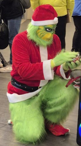 Grincs jellegű jelmezes megjelenés 10 percig, csak Pest Vármegyén belül!