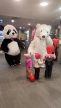 Óriás pandamaci (250 cm) jelmezben megjelenés - szolgáltatás 20 perc