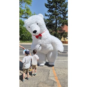   Órias Jegesmaci (300cm) jelmezes megjelenés - party maci csomag 20 perc