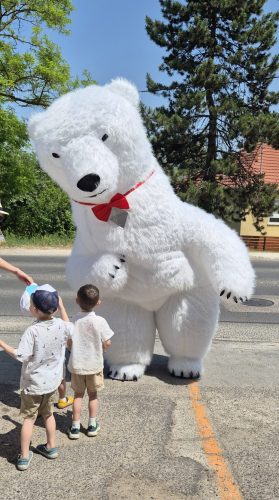 Órias Jegesmaci - party maci szolgáltatás (300cm) 20 perc