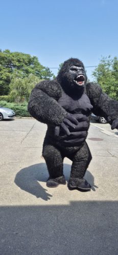 Óriás plüss gorilla - party maci szolgáltatás (250 cm) 20 perc