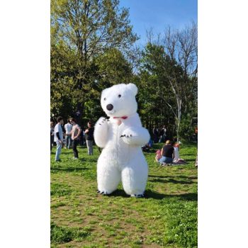   Óriás Jeges maci - rendezvény maci szolgáltatás (240cm) 30 perc 